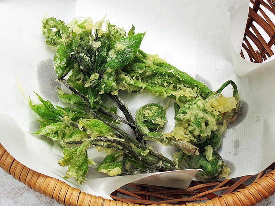 たらの芽 こごみ こしあぶらの山菜天ぷら