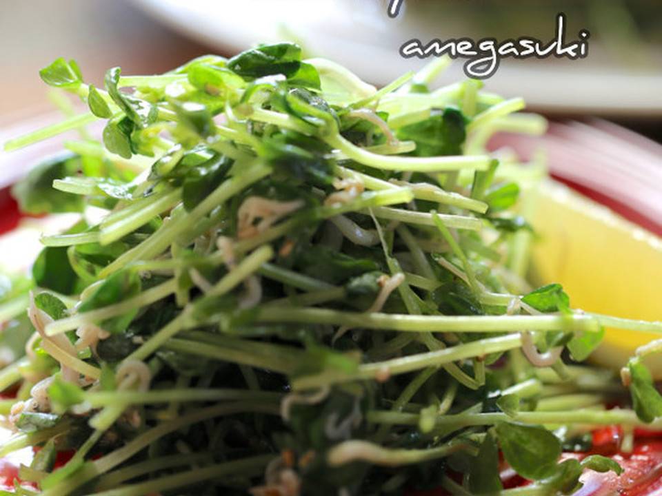 豆苗としらすの胡麻ごまサラダ